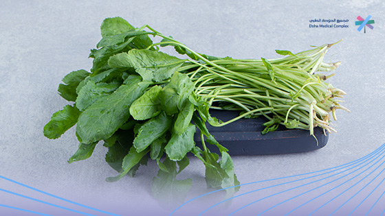 متى-يبدأ-مفعول-الجرجير