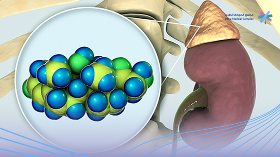  أعراض-خمول-الغدة-الكظرية-عند-النساء