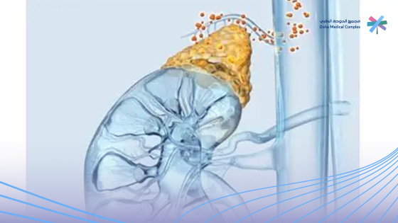 ما-هو-تحليل-الغدة-الكظرية
