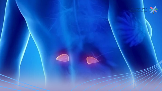 شروط-تحليل-الغدة-الكظرية 