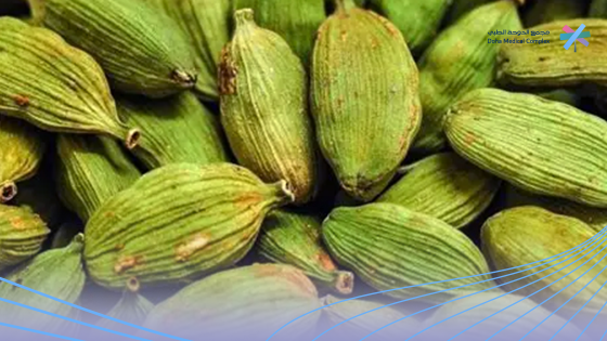 أضرار-الهيل-على-القولون