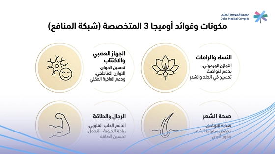 صورة-توضح-مكونات-أميجا-3