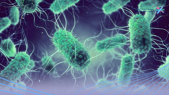 أعراض-السالمونيلا-عند-الأطفال